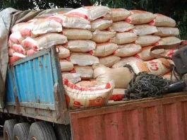 Yadda ake saye amfanin gona tun kafin girbi a boye don cin kazamar riba