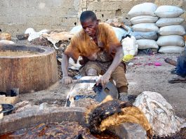 Tarihin kasuwancin fata a arewacin Nigeria